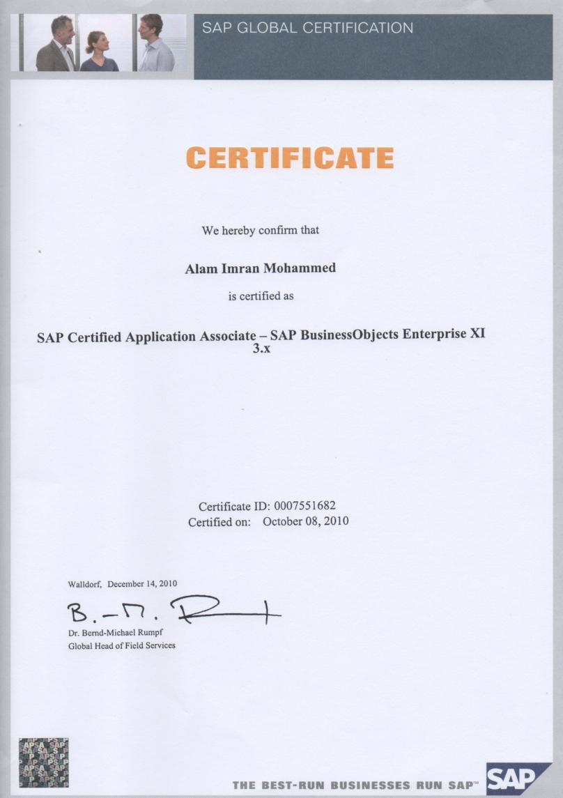 mohammed alam - professional resume    analytics    sap   crystal